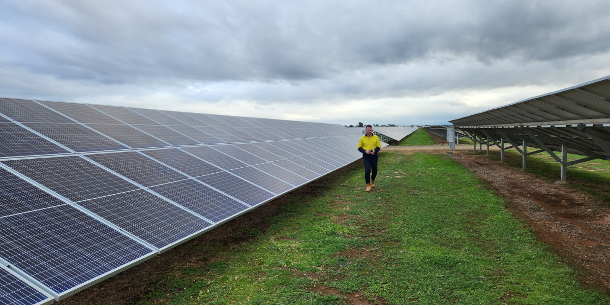 Barry at solar farm - panels