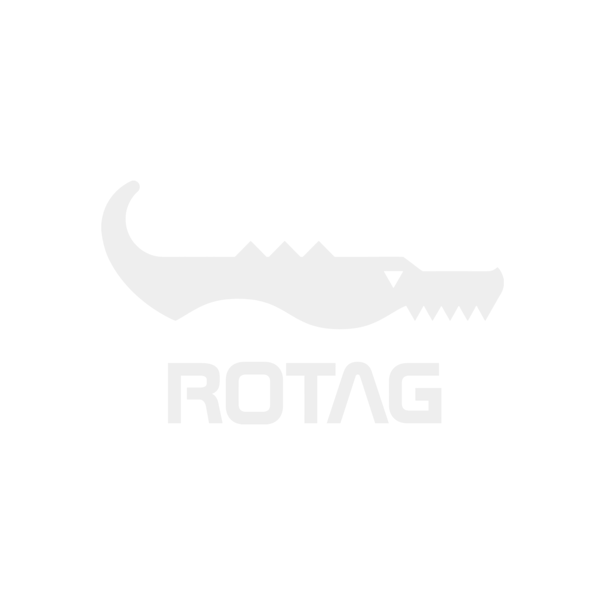Rotag-logo_white_transparent (1)